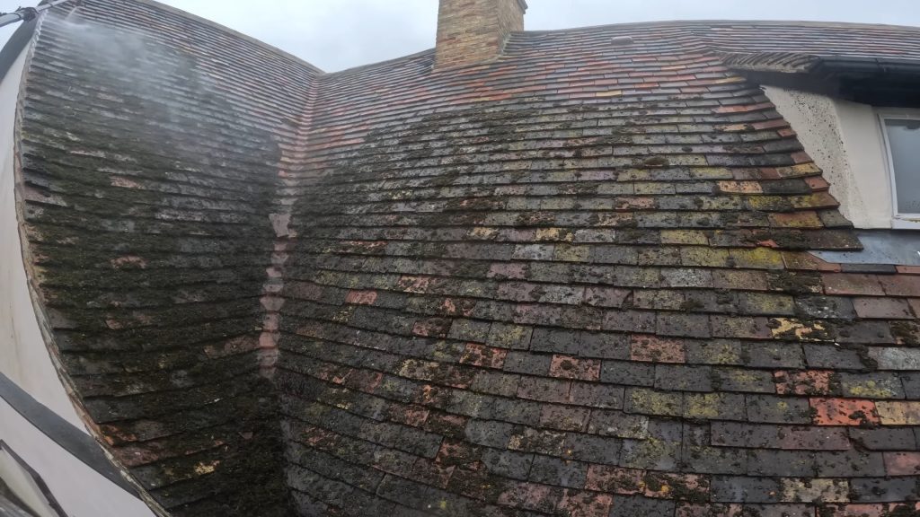 Roof Cleaning and Moss Removal​