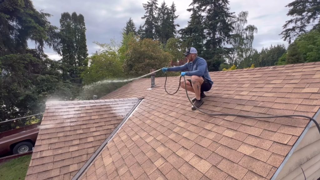 roof cleaning